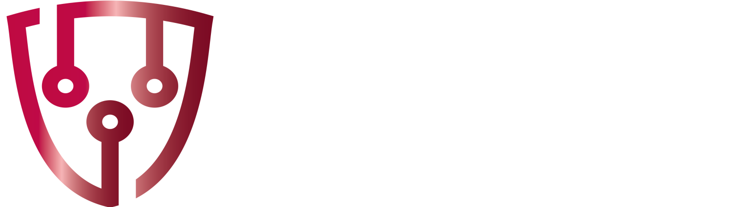 VPN Pro